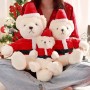 Babbo Natale personalizzato Peluche Orsacchiotto Peluche personalizzato Regalo di Natale per bambini