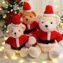 Babbo Natale personalizzato Peluche Orsacchiotto Peluche personalizzato Regalo di Natale per bambini