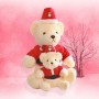 Babbo Natale personalizzato Peluche Orsacchiotto Peluche personalizzato Regalo di Natale per bambini