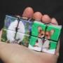 Cubo di Rubik personalizzato con la foto del tuo animale domestico di forma diversa e strana