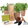 Set di fioriere personalizzate per giardino di erbe aromatiche per la casa