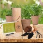 Set di fioriere personalizzate per giardino di erbe aromatiche per la casa