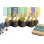 Kit iniziale per erbe aromatiche fai-da-te Kit iniziale personalizzato per giardino di erbe aromatiche fai-da-te