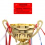 Stampa di un trofeo in metallo per realizzare un trofeo artigianale con logo